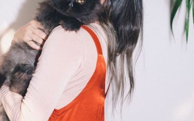 How to grow your Instagram followers to over 100k