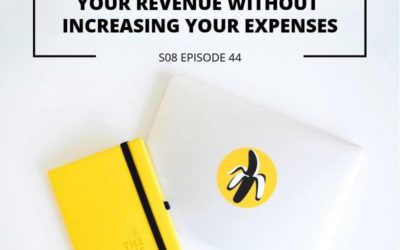 S08 EPISODE 44: How to increase your revenue without increasing your expenses