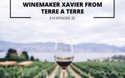 S10 EPISODE 32: How we Compete in a Competitive Market with Winemaker Xavier from Terre a Terre