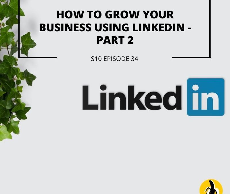 S10 EPISODE 34: How to grow your business using Linkedin – Part 2