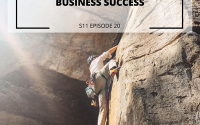 S11 EPISODE 20: Different Levels of Business Success